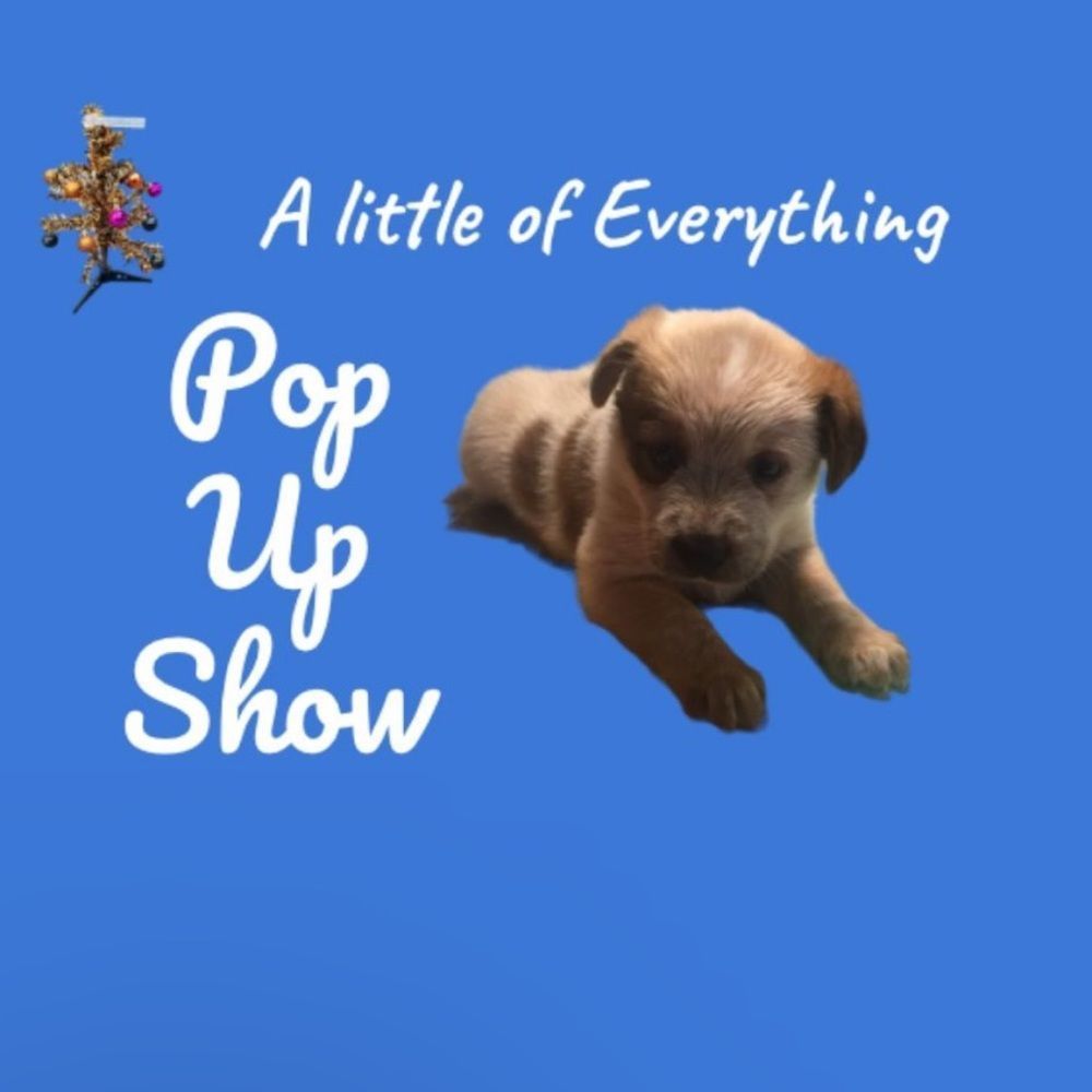 Vivaknits is live!